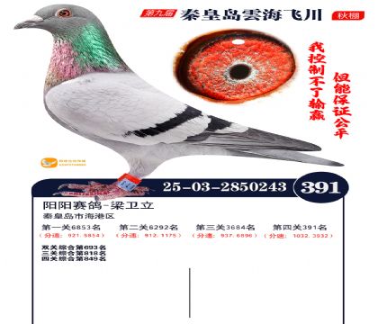 녺��ɴ�����391��