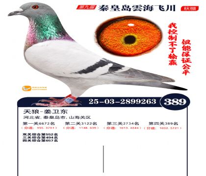 녺��ɴ�����389��