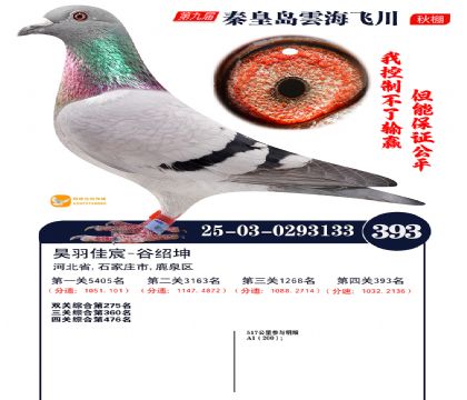 녺��ɴ�����393��