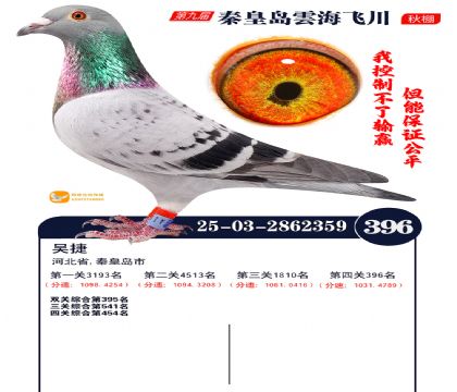 녺��ɴ�����396��