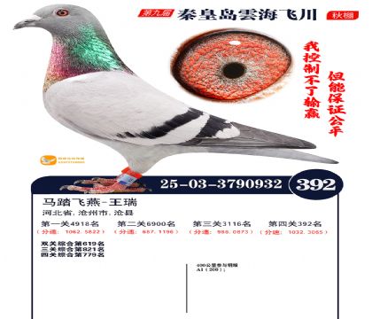 녺��ɴ�����392��