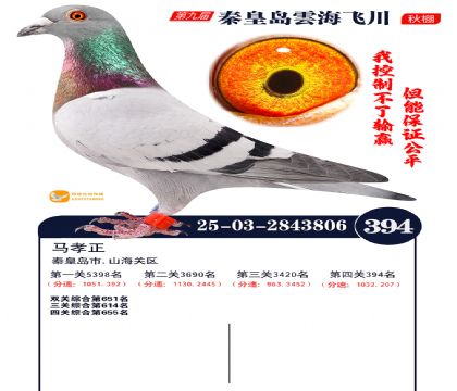 녺��ɴ�����394��