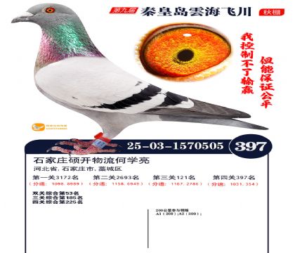 녺��ɴ�����397��