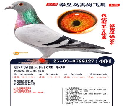 녺��ɴ�����401��