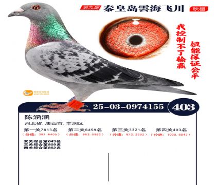 녺��ɴ�����403��