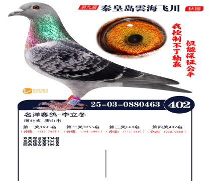 녺��ɴ�����402��