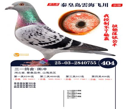 녺��ɴ�����404��