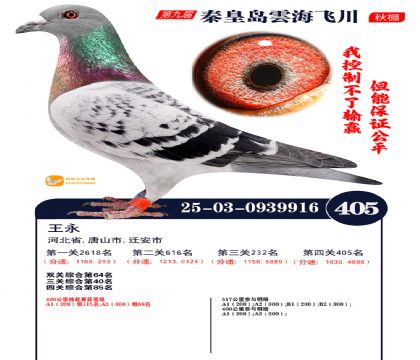 녺��ɴ�����405��