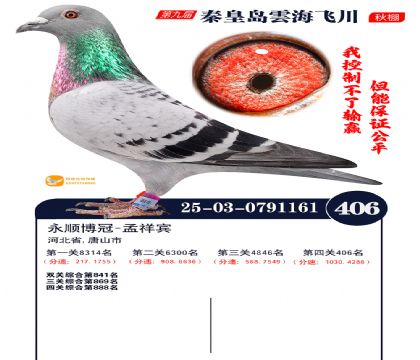 녺��ɴ�����406��