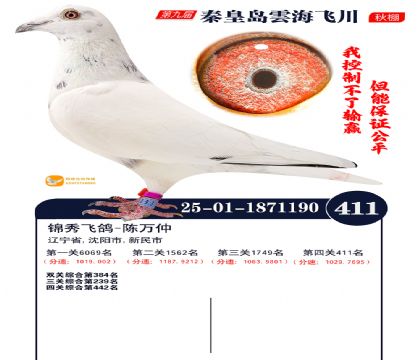 녺��ɴ�����411��