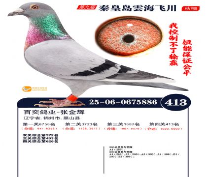 녺��ɴ�����413��