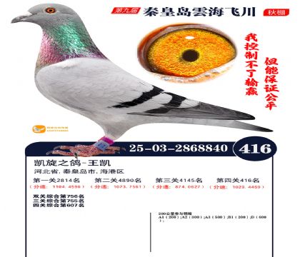 녺��ɴ�����416��