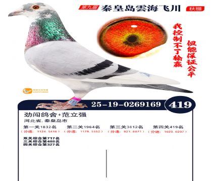 녺��ɴ�����419��