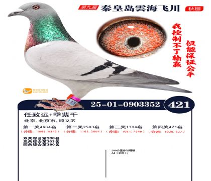 녺��ɴ�����421��