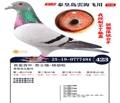 녺��ɴ�����423��