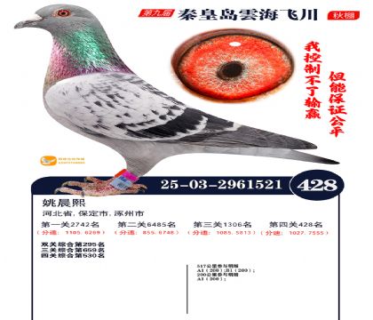 녺��ɴ�����428��