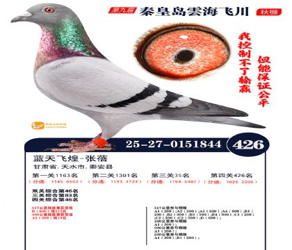 녺��ɴ�����426��