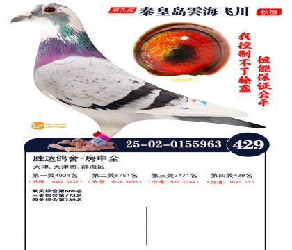 녺��ɴ�����429��