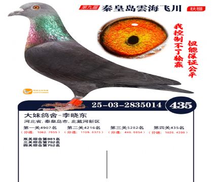 녺��ɴ�����435��