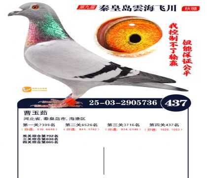 녺��ɴ�����437��