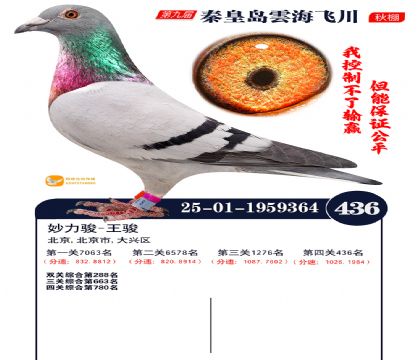 녺��ɴ�����436��