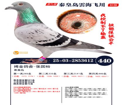 녺��ɴ�����440��