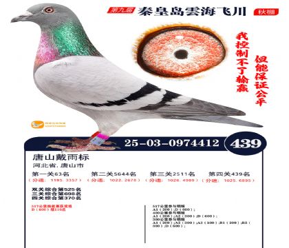 녺��ɴ�����439��