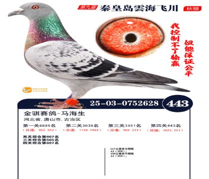 녺��ɴ�����443��