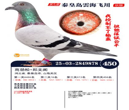 녺��ɴ�����450��