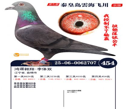 녺��ɴ�����454��