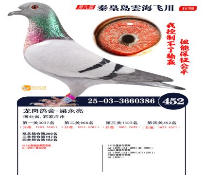 녺��ɴ�����452��