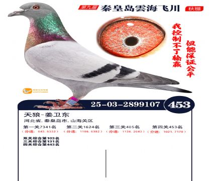 녺��ɴ�����453��