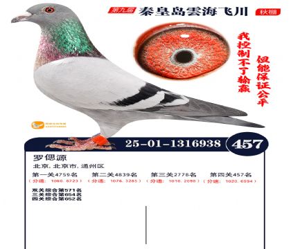 녺��ɴ�����457��