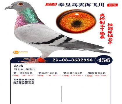 녺��ɴ�����456��