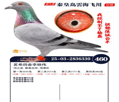 녺��ɴ�����460��