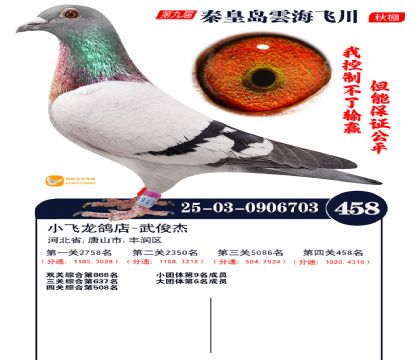 녺��ɴ�����458��