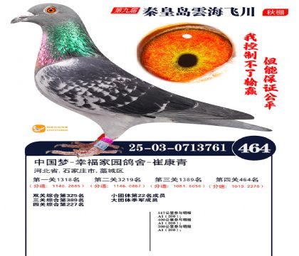 녺��ɴ�����464��