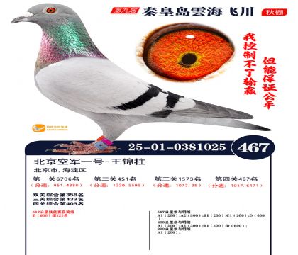 녺��ɴ�����467��