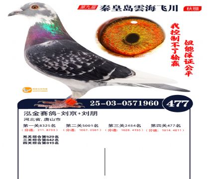 녺��ɴ�����477��