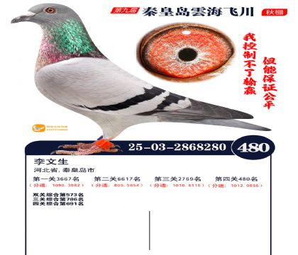 녺��ɴ�����480��