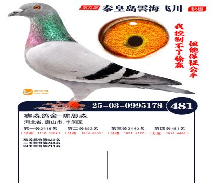 녺��ɴ�����481��