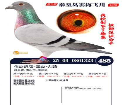 녺��ɴ�����485��