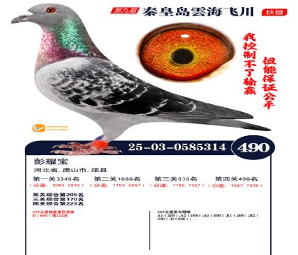 녺��ɴ�����490��