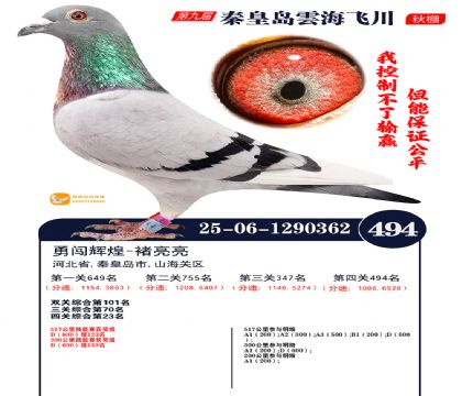 녺��ɴ�����494��