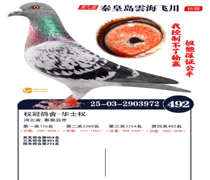 녺��ɴ�����492��