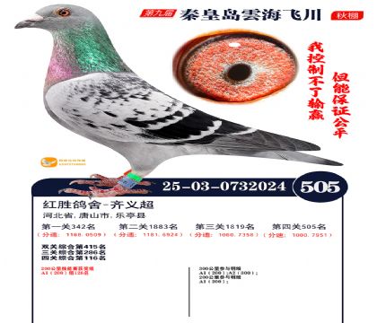 녺��ɴ�����505��