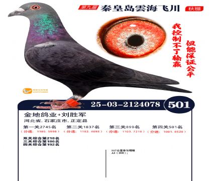 녺��ɴ�����501��