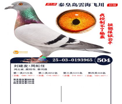 녺��ɴ�����504��