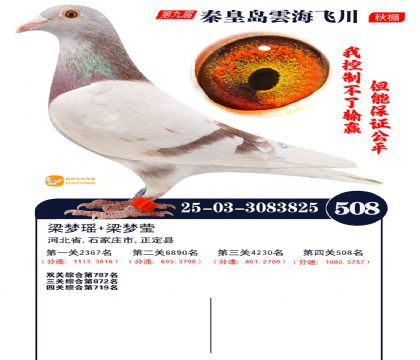 녺��ɴ�����508��