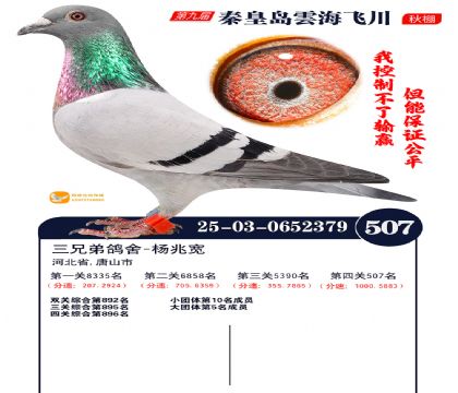 녺��ɴ�����507��